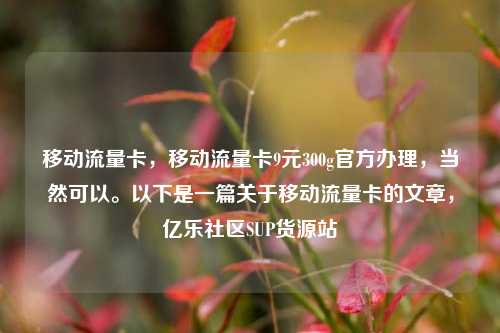 移动流量卡，移动流量卡9元300g官方办理，当然可以。以下是一篇关于移动流量卡的文章	，亿乐社区SUP货源站  第1张